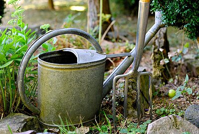Zukunftsgarten - Naturnahe Gärten in Zeiten des Klimawandels