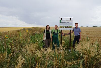 Feldhamsterfreundliche Bewirtschaftung landwirtschaftlicher Flächen