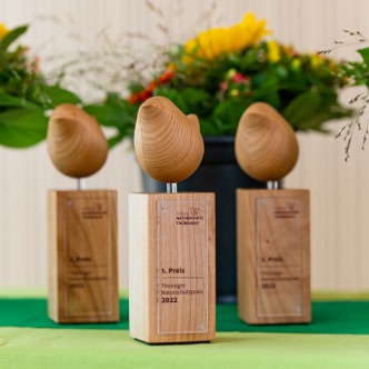 Drei Naturschutzpreis-Pokale aus Holz.