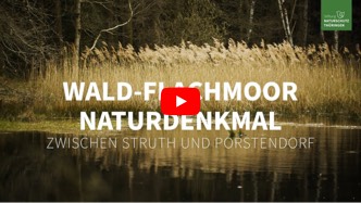 Screenshot eines Videos mit dem Titel Naturdenkmal 