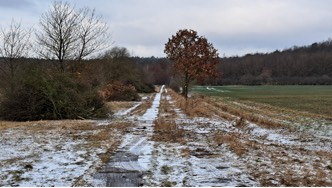 Ein Kolonnenweg im Winter