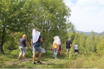 Mehrere Personen mit Insektenkescher